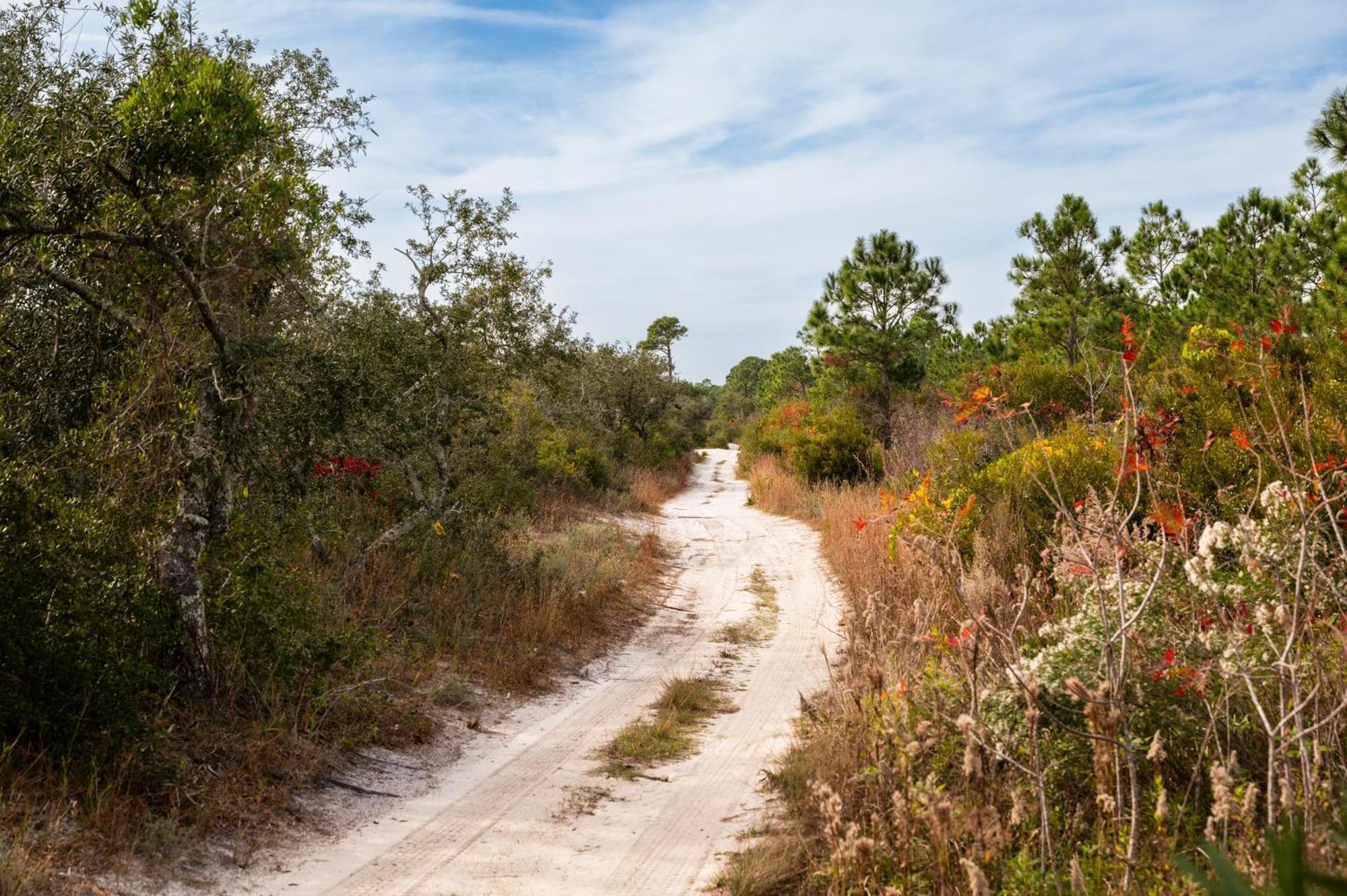 Cottage Beach House Steps From Beach 3 Bedroom 2 Bath Gulf Shores Exteriér fotografie