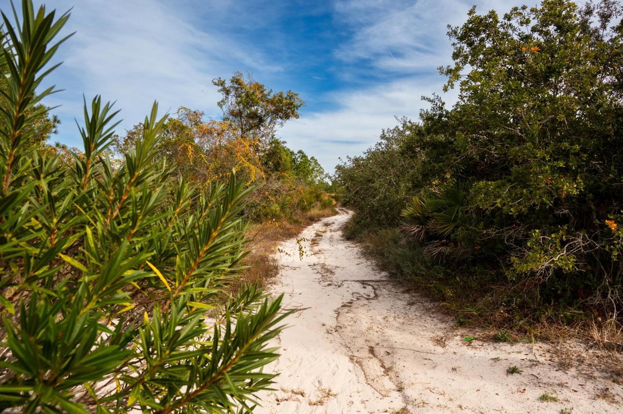 Cottage Beach House Steps From Beach 3 Bedroom 2 Bath Gulf Shores Exteriér fotografie